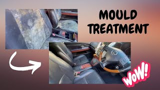 🌟 Mould Treatment Before amp After Witness the Transformation 🚗✨ [upl. by Anirdna]