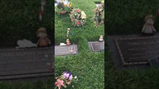 Brittany Murphy Grave  Forest Lawn Hollywood Hills 2017 [upl. by Cahan]