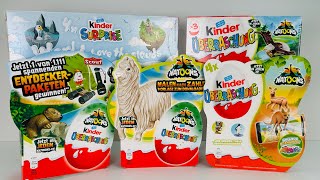 Распаковка старых Киндеров Натунс Old Kinder Surprise Natoons Unboxing [upl. by Aksel]