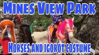 Mines View Park Baguio City Before Lockdown 2022  Colorful Horses and Igorot Costume [upl. by Beaulieu411]