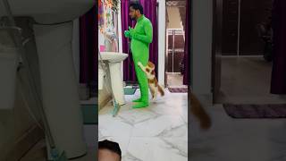 Billu ki comedy video comedy billu funny billicomedy dog billikicomedy doglover fun [upl. by Aivul]