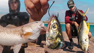 EVERYBODY was catching giant fish at the jetty  secret bait for giants [upl. by Alaj]