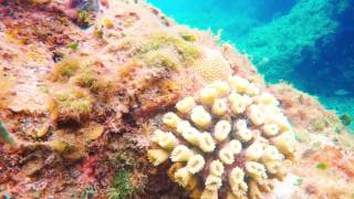 Cavern Dive Chankanaab Park Cozumel Mexico [upl. by Umont]