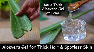 Homemade Aloevera Gel  for Thick Hair Growth amp Spotless Skin  Make Aloevera Gel at Home from Leaf [upl. by Ettenwad]