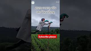 Tak ku dar kar ke ho 😍🌿\ sambalpuri status video  sambalpuri song shortvideo dance [upl. by Aldercy]