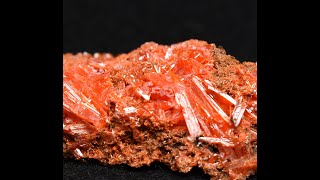 NEW ARRIVAL Crocoite from Tasmania Australia [upl. by Fitalludba259]