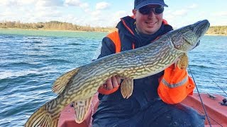 Mer Baltique à Vastervik  Avril 2017 Sweden Predator Fishing [upl. by Davenport]