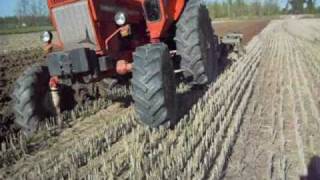 Belarus MTZ 80 in aratura [upl. by Barr]