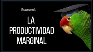 La Productividad Marginal [upl. by Tjaden]