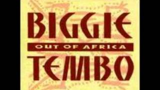 VIVA CHINHOYI BY BIGGIE TEMBO AND THE BHUNDU BOYS [upl. by Petua]