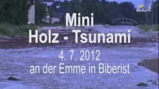 Hochwasser Emme Juli 2012 [upl. by Euqinomod607]