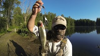 How to Catch Hatchery Trout in Your Local Pond [upl. by Val675]