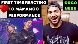 MAMAMOO  gogobebe Music Bank REACTION [upl. by Nnaira]