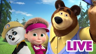 ماشا والدب 👱‍♀️ LIVE STREAM 🐼👱‍♀️ حافظ على هدوئك واقضِ أياما معا 🐧🐻 Masha and the Bear [upl. by Gladwin]