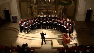 Carol of the Bells  DeutschFranzösischer Chor Dresden [upl. by Aynnat]