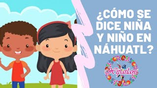 🧒👫¿Cómo se dice niña y niño en náhuatl aprende náhuatl  XIPATLANI 👨‍👩‍👧‍👦👨‍👩‍👧‍👧👨‍👨‍👦 [upl. by Dalt]