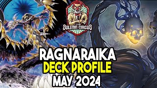 YuGiOh Ragnaraika Deck Profile May 2024 [upl. by Longtin]