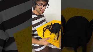 Spider Toy Prank  souravjoshivlogs toys spider vlog [upl. by Tina]