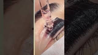 Lash tint pooja makeover permanent makeup artist 🧿🧿🧿 [upl. by Laughlin67]