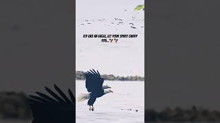 Fly like eagle🦅🦅 edm ytshorts shorts video reels shortsviral shortsvideo ReptoHolics [upl. by Eimorej]