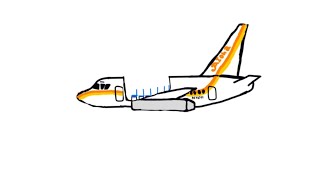 aloha airlines flight 243 landing animation [upl. by Kendell]