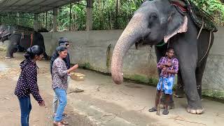 Kumily Elephant Tour [upl. by Yuzik392]