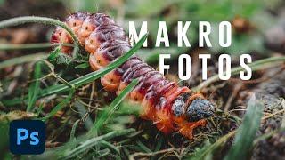 Makro fotografieren im Garten  Focus Stacking mit der Sony Alpha 7 III [upl. by Buckley]