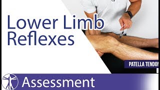 Lower Limb Deep Tendon Reflexes  Peripheral Neurological Examination [upl. by Dhar841]