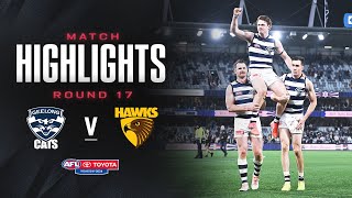 Geelong Cats v Hawthorn Highlights  Round 17 2024  AFL [upl. by Paton]