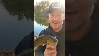 Walleye fishing minnesota in the fall watch till end got one [upl. by Yragerg]