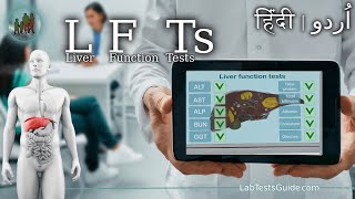 Liver Function Tests LFTs  What You Need to Know [upl. by Aratas]