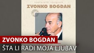 Zvonko Bogdan  Šta Li Radi Moja Ljubav  Vojvodina Music Official [upl. by Hanoj]