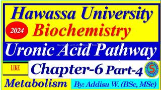 Uronic Acid Pathway carbohydrates metabolism uronicacid pathway biochemistry part4 biology [upl. by Slosberg]