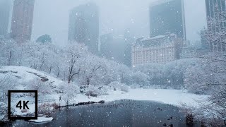 Snowfall in Central Park New York  Walking in Central Park in the Winter Snow [upl. by Araldo]