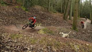 The Forest of Dean Blue graded Verderers Mountain Bike Trail  Pedalabikeaway Official Trailer [upl. by Kaylee]