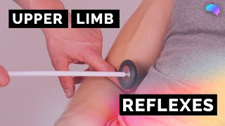 Reflexes of the Upper Limbs  OSCE Clip  UKMLA  CPSA [upl. by Grindlay932]