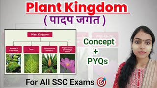 Classification of Living Organisms  Plant Kingdom  Biology classes for SSC EXAMS [upl. by Stets235]