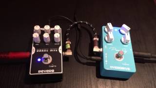 Caline Pure Sky overdrive  Snake Bite Reverb [upl. by Haliak]