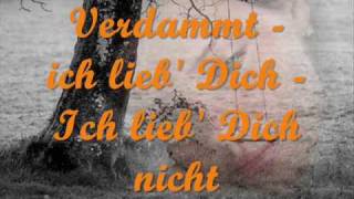 Matthias Reim  Verdammt ich lieb dich lyrics [upl. by Duomham575]