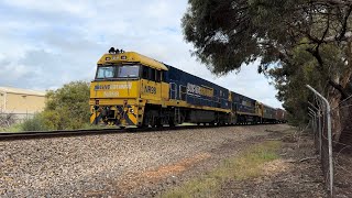 6MP6 with NR98 NR15 at Salisbury North 4102024 [upl. by Yevol]