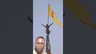 JAGANNATH TEMPLE FLAG CHANGING  Puri  viral jagannathtemple shortvideo viralvideo [upl. by Renzo]