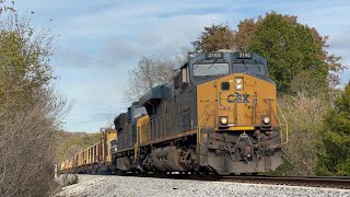 CSX ES44AH 3146 Leads Rail Train W02829 on 11424 [upl. by Ardnohsal347]