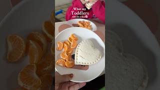 Ideas de comida para bebés toddlerfood comidaparaniños foodforkids foodforbaby comidaparabebes [upl. by Ecnav]