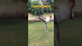 ‼️Taekwondo Back  Slap Kick‼️taekwondo martialarts kicks youtubeshorts shorts [upl. by Weasner]