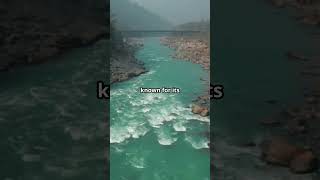 White Water Rafting Ride the Rapids in These Top Spots 🌊🚣‍♂️ shorts video travel rafting [upl. by Bijan119]