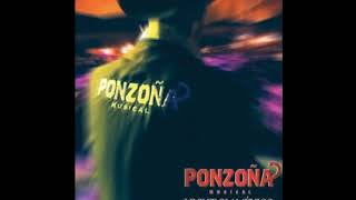 Ponzoña Musical Live From Mexico [upl. by Eeldarb]