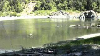 Klamath River Steelhead Adventure [upl. by Thevenot]