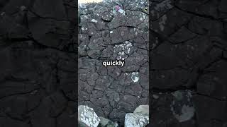 Igneous vs Metamorphic Rocks Whats the Difference [upl. by Eyr882]