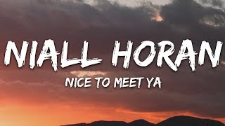 Niall Horan  Nice To Meet Ya Lyrics [upl. by Beaufert]