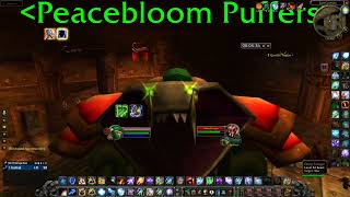 World of Warcraft SoD P4  Shaman Solo BRD Arena Sub 8 Mins [upl. by Ciredor]